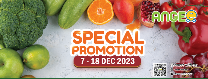 December Special Promotion