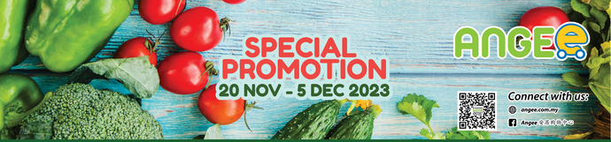 November Special Promotion