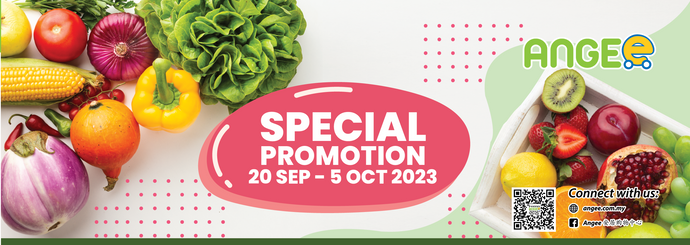 September Special Promotion